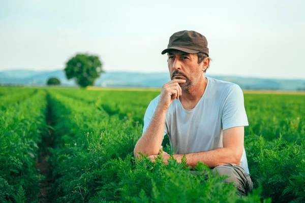 A saída para o endividamento do produtor rural pode vir do Congresso: o direito de alongar dívidas precisa virar lei