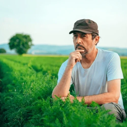 A saída para o endividamento do produtor rural pode vir do Congresso: o direito de alongar dívidas precisa virar lei