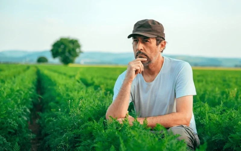 A saída para o endividamento do produtor rural pode vir do Congresso: o direito de alongar dívidas precisa virar lei